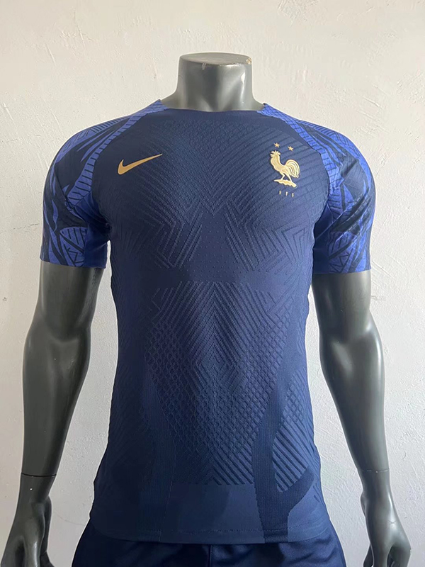 AAA Quality France 2022 Dark Blue Training Jersey(Player)